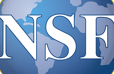 NSF PROGRAM OFFICERS' VIEWS<br />Inside the NSF